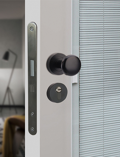 無漆木門,實木復合門,木門廠家,衣柜定制,木門加盟,全屋定制加盟,木門十大品牌